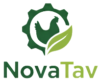 novatav.com